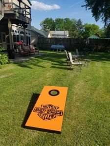 Back Yard Of Bar
